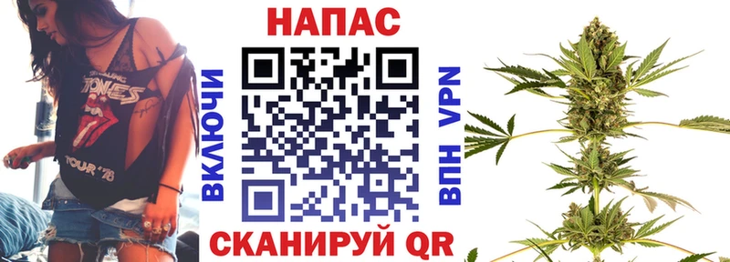 Бошки Шишки ГИДРОПОН Балашиха
